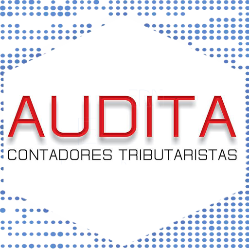 GRUPO AUDITA CONTADORES