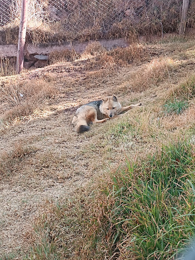 Zoologico Mundo Andino Tipon Cusco