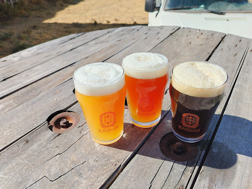 Edelmann Craftbeer Tasting Room