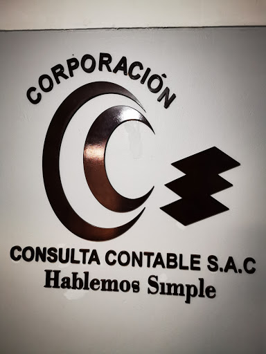 CONSULTA CONTABLE