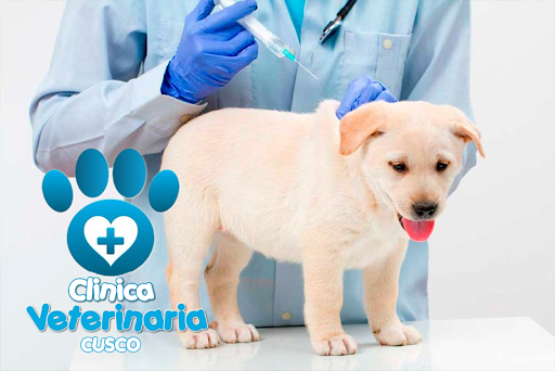 CLINICA VETERINARIA EN CUSCO